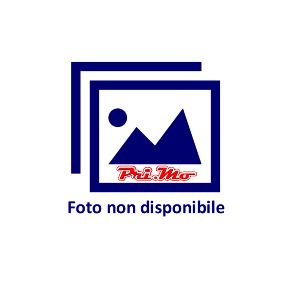 Segnaposto